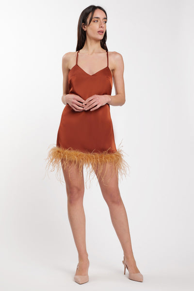 Plume Mini Dress Terra