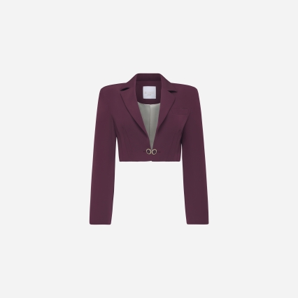 Gemini Blazer 